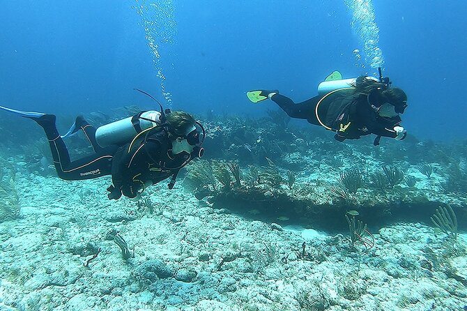 2 Tank Reef Dive in Mexico - Reef etiquette that matters here: lotions, sunscreens, and wetsuits