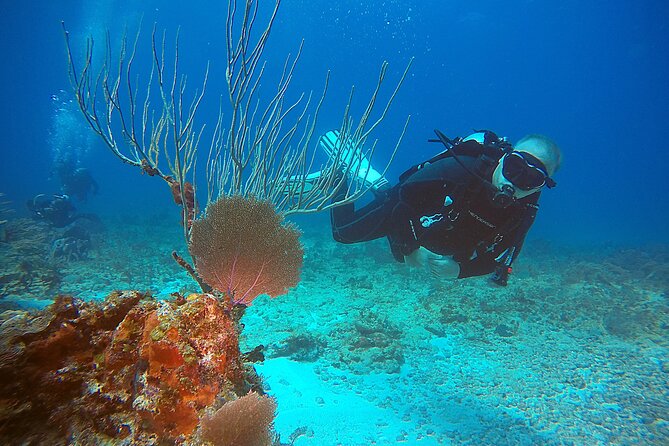 2 Tanks Scuba Diving Wreck and Reef in Cancun for Certified Divers - Carolina and Timoteo: friendly, professional guidance in English