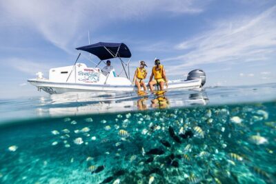 5-in-1 Cancun Snorkeling: Turtles, Reef, Musa, Shipwreck, Cenote - Price and value: what $79 buys (and what costs extra)
