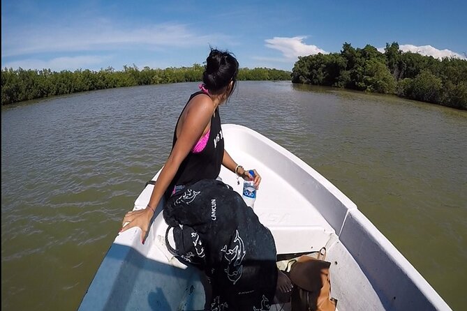 Adventour Day: Coloradas and Rio Lagartos Excursion from Cancun! - Key things to know before you go