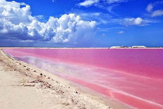 Adventour Day: Coloradas and Rio Lagartos Excursion from Cancun! - Price and value: what $135 really buys you