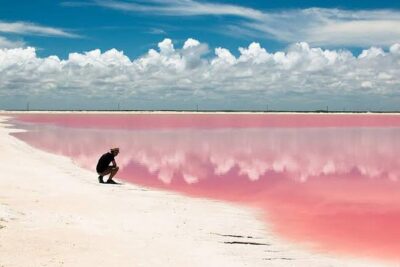 Adventour Day: Coloradas and Rio Lagartos Excursion from Cancun! - Pickup mornings from Cancun and Playa del Carmen (and why timing matters)