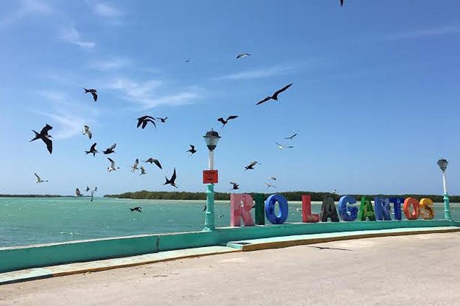 Adventour Day: Coloradas and Rio Lagartos Excursion from Cancun! - Lunch built into the schedule (so you’re not stuck hungry)