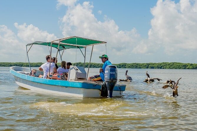 Adventour Day: Coloradas and Rio Lagartos Excursion from Cancun! - What to pack and the bus bathroom rule you should take seriously