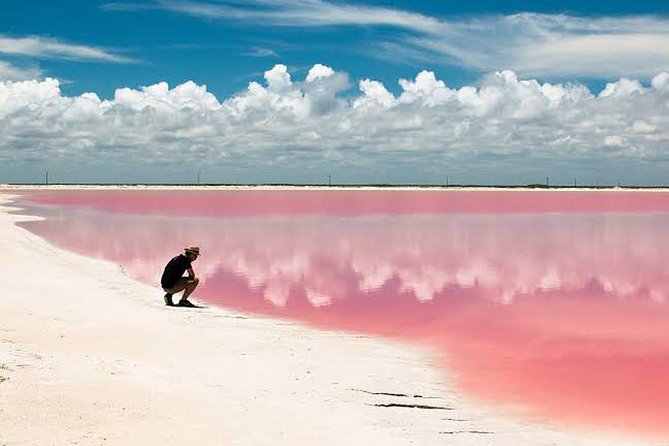 Adventour Day: Coloradas and Rio Lagartos Excursion from Cancun! - Pickup mornings from Cancun and Playa del Carmen (and why timing matters)