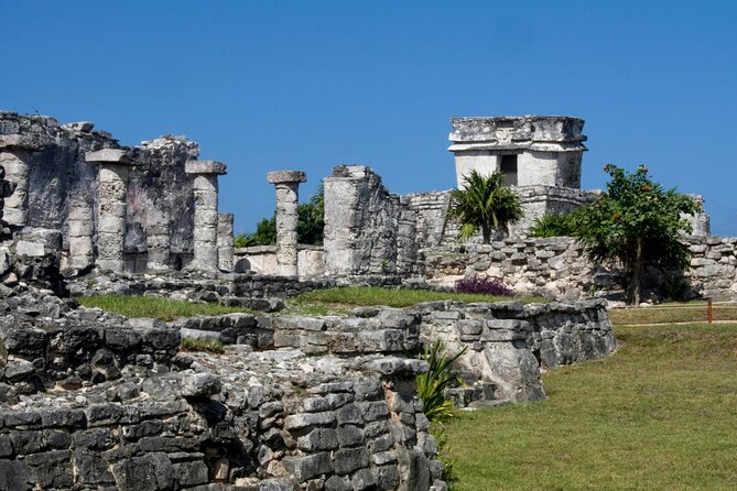 Akumal paradise tour Swimming with Turtles & ancient Tulum Ruins. Lunch included - Pickup times, timing, and how the day usually runs