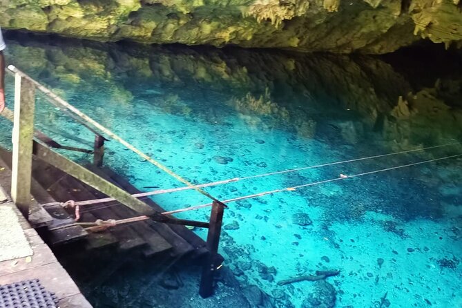 Akumal paradise tour Swimming with Turtles & ancient Tulum Ruins. Lunch included - Group size, guide style, and what “certified” changes