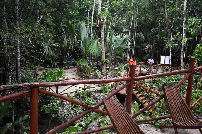 Amazing adventure in 3 cenotes with transportation - Zip line thrills and platform-jump energy (plus the 270 lb limit)