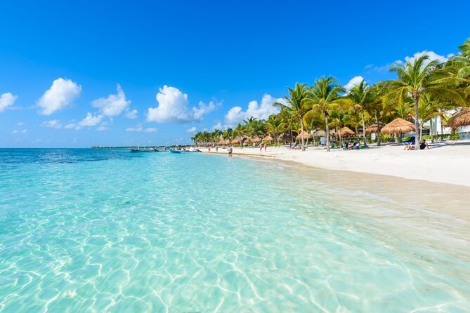 Amazing Adventure in Akumal. Swim with turtles and discover Tulum Ruins. - Akumal snorkeling with turtles: what your hour can feel like