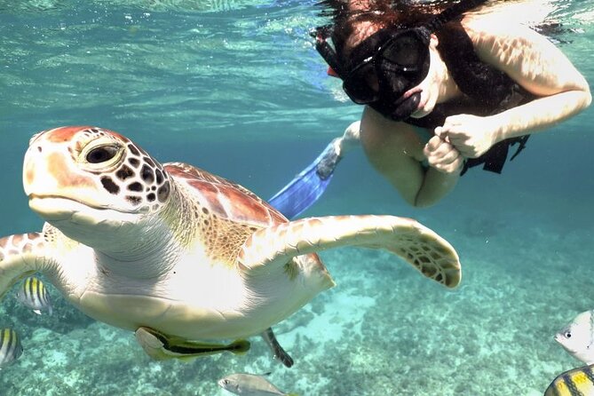 Amazing Adventure in Akumal. Swim with turtles and discover Tulum Ruins. - Breakfast snack, boxed lunch, and the lunch timing that matters