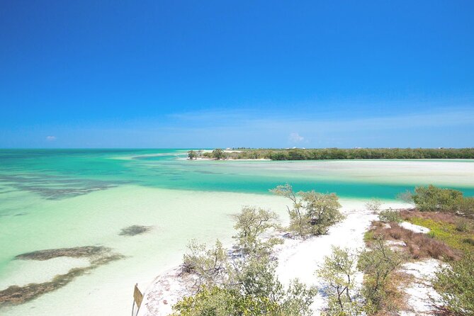 Amazing HOLBOX Full day tour and Cenote swim experience from Cancun! - Group size and guide experience: what to expect on the day