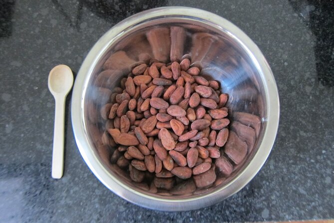 Artisanal Chocolate Bean to Bar Workshop in Cancún - Who should book this workshop in Cancún, and who might skip it
