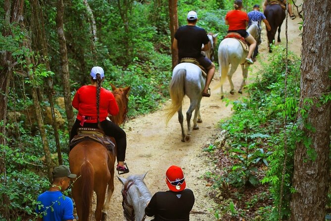Best ATV & Mavericks Experience in Cancun + Cenote + Zip Lines - Price and value: $20 sounds great, but fees can change the total