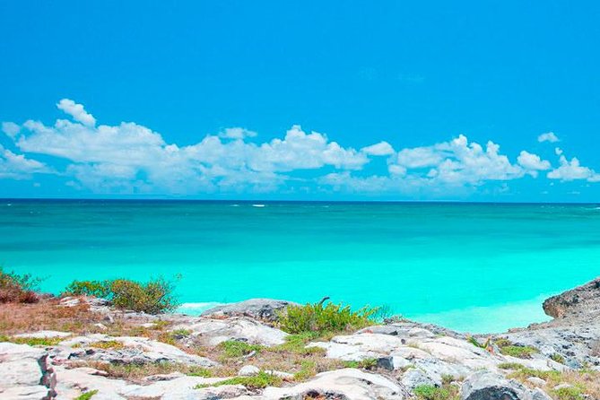 Best Tour to Tulum, Coba and Playa Del Carmen. No hidden fees! - Guide Style and English: How to Keep the History Coming