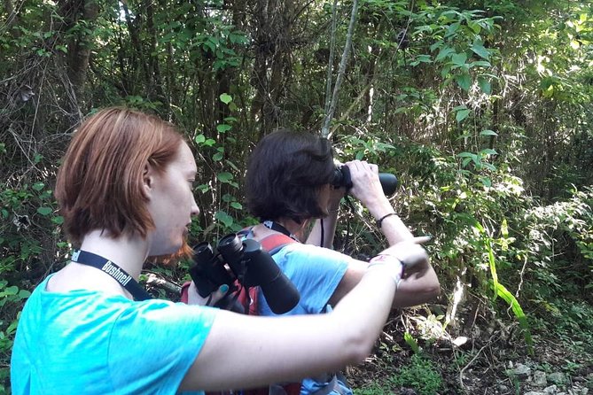 Bird watching ecofriendly tour from Cancun & Riviera Maya - Eco-Friendly Style That Feels Real, Not Performative