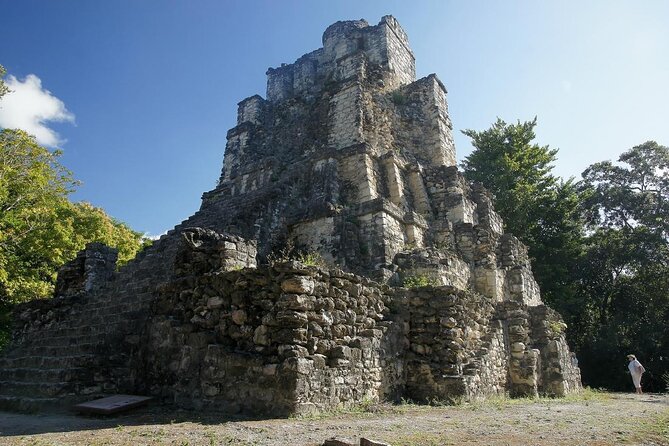 Birds of the Mayan World 3 - Fast facts that matter