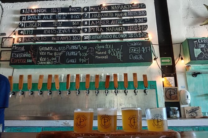Brewery Tour / Craft Beer Tasting Cancun Mexico - Who This Craft Beer Tour Is Best For