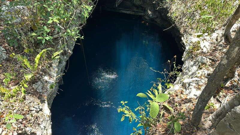 Cancun 2 Cenote Dives: The Pit & Dos Ojos - Certified Divers - How the day runs: Pickup, briefing, and timing that makes sense