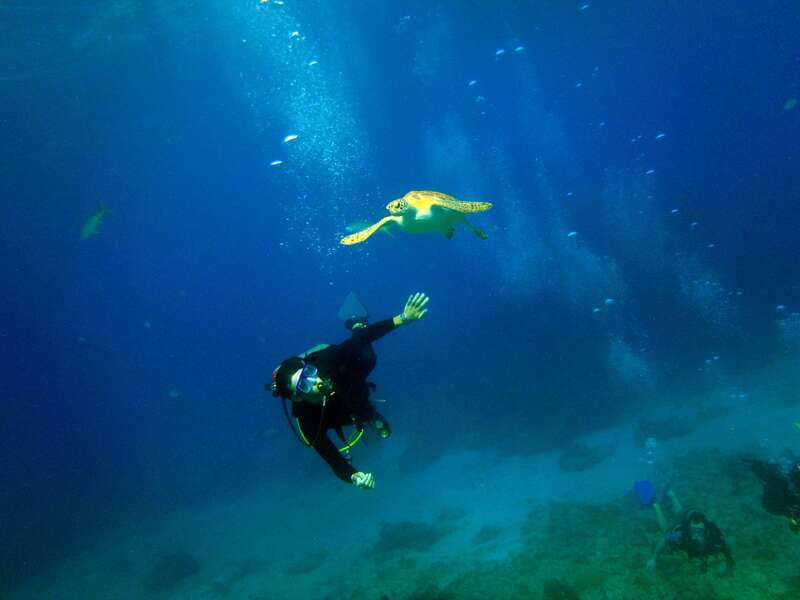 Cancun: 2-Tank Dive for Beginners with MUSA and Reef Dive - Key things I’d mark on your mental map