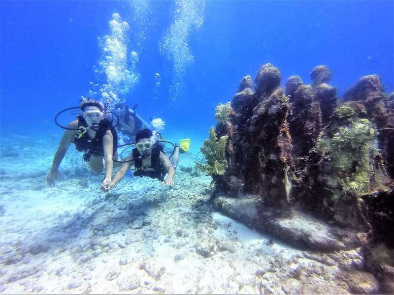 Cancun: 2-Tank Dive for Beginners with MUSA and Reef Dive - Pool Practice: The Confidence Builder Before You Go Out