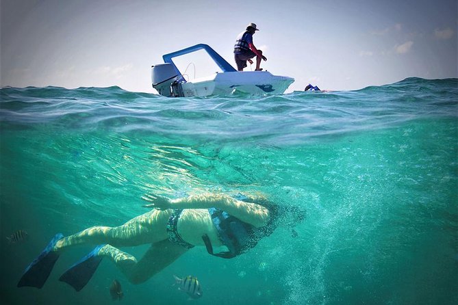 Cancun Adventure Speed Boat Jungle Tour with Transportation - Snorkeling at the Angel Reef: Short Time, Real Marine Life