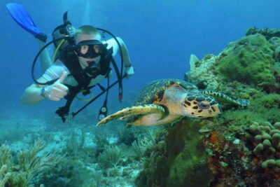 Cancun: Beginner Scuba Diving at Underwater Museum - Pool Theory and Equipment Basics: What You Learn Before You Go Out