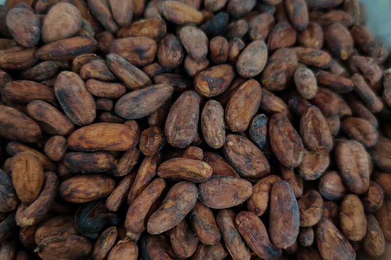 Cancún: Chocolate Making Class and Tasting with Chef - Key highlights worth knowing