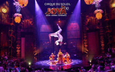 Cancún: Cirque du Soleil JOYÀ Entry Ticket and Transfer - Getting there: round-trip transport from Cancún and Playa del Carmen