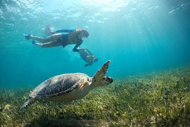 Cancun Combo Adventure: 4 Reef Snorkeling Stops & Parasailing - What’s included vs. what costs extra (real value check)