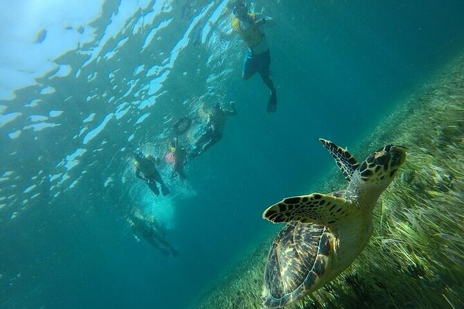 Cancun Combo Adventure: 4 Reef Snorkeling Stops & Parasailing - Safety and comfort: why the small details matter