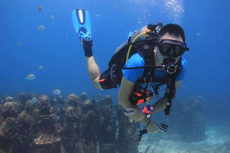 Cancun: Dive Underwater Museum & Manchones Reef - Underwater Museum: Art You Can See and Sea Life Can Use
