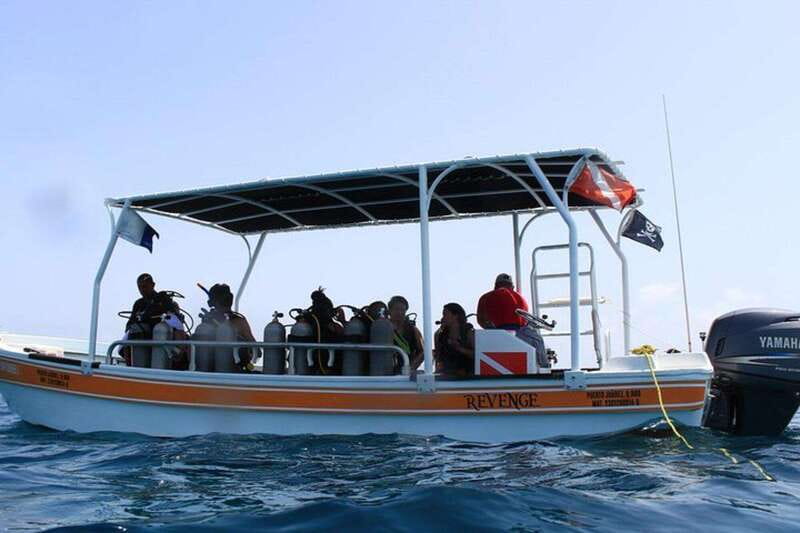 Cancun: Dive Underwater Museum & Manchones Reef - Manchones Reef: Tropical Fish and a Real Marine Playground