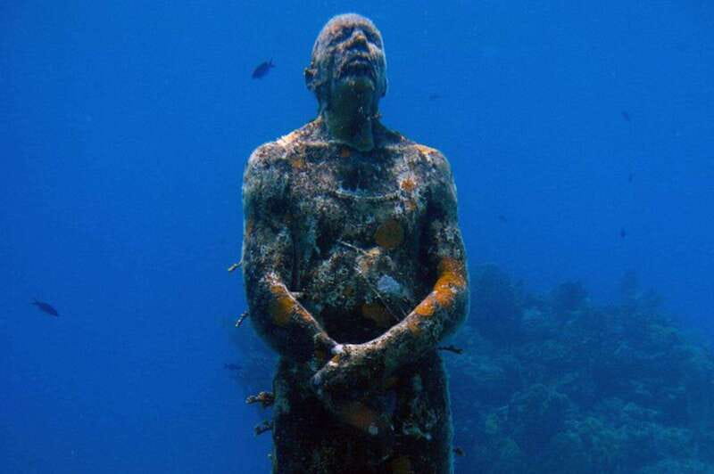 Cancun: Dive Underwater Museum & Manchones Reef - Price and Added Fees: Is This Worth $119?