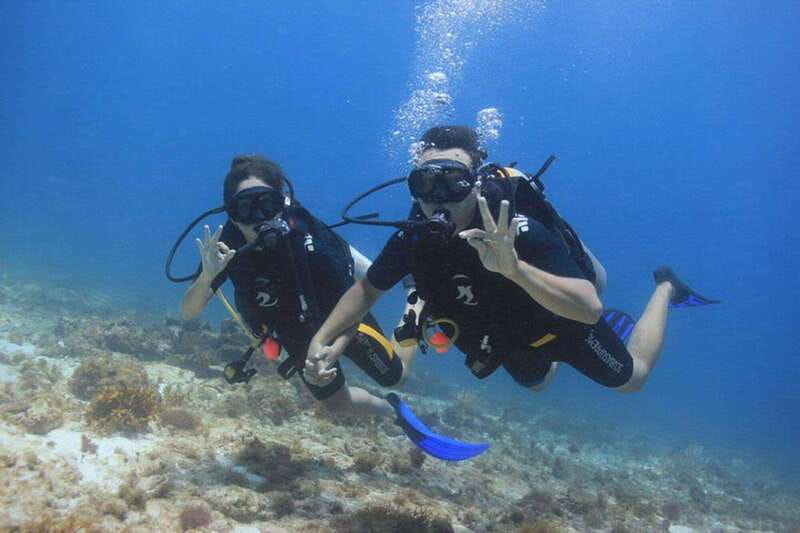 Cancun: Dive Underwater Museum & Manchones Reef - From 8:30 Check-In to Around 1:00 Back at the Marina