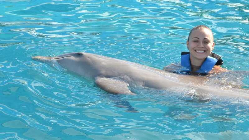 Cancún: Dolphin Encounter on Isla Mujeres with Buffet - Tips to make your day smoother (and happier)