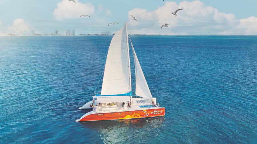 CANCUN: Dolphin Swim Adventure with buffet and soft drinks - Photos, Cameras, and the Rulebook You’ll Actually Feel