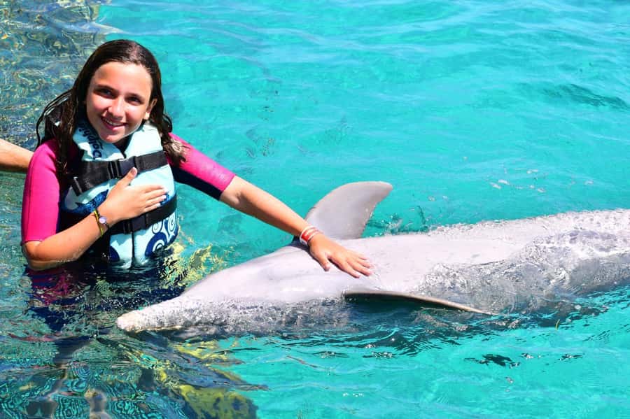 CANCUN: Dolphin Swim Adventure with buffet and soft drinks - Dolphin Discovery Cancun: Where the Experience Happens