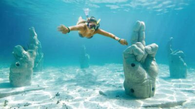 CANCUN: Dolphin Swim Adventure with buffet and soft drinks - The 1-Hour Dolphin Program: What You’ll Do, Step by Step