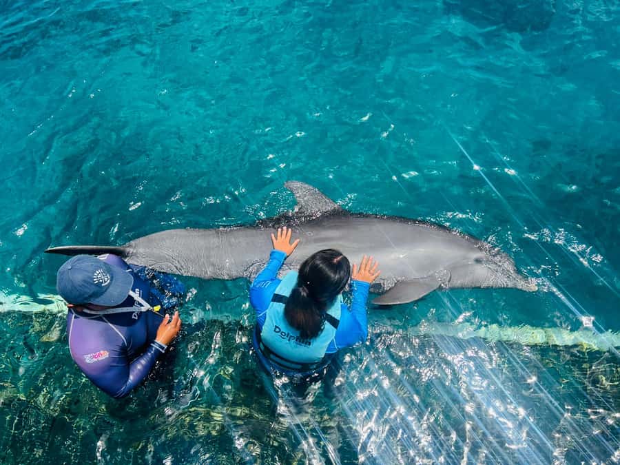 CANCUN: Dolphin Swim Adventure with buffet and soft drinks - Price, Extras, and Avoiding Photo Sticker Shock