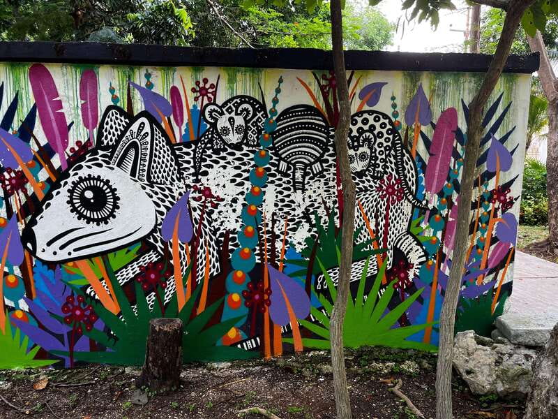 Cancun Downtown Evening Walking Tour - The 3-hour flow: how the evening is paced