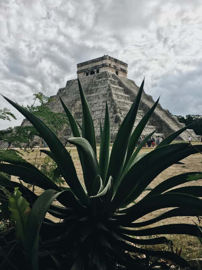 Cancun: Exclusive sunrise at Chichen Itza, expert tour guide - The Pyramid of the Castle moment: where patience pays off