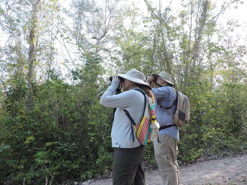 Cancún: Guided Birdwatching Hike - Ruta de los Cenotes: Why This Trail Is the Point