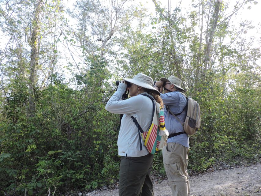 Cancún: Guided Birdwatching Hike - Price and Value: Is $169 Worth It?