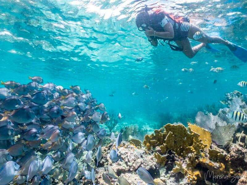 Cancun: Half Day Private Catamaran to Isla Mujeres - Snorkeling at El Meco: What You’ll See and How to Make It Better
