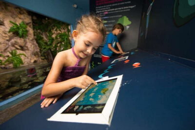 Cancún: Interactive Aquarium Admission - Aquarium Layout: 140+ Species and a 1,195-Specimen Walk-Through