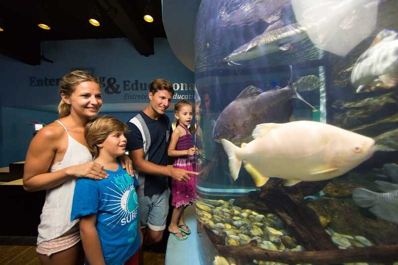 Cancún: Interactive Aquarium Admission - Dolphins Viewing: Pretty, But Not the Main Event