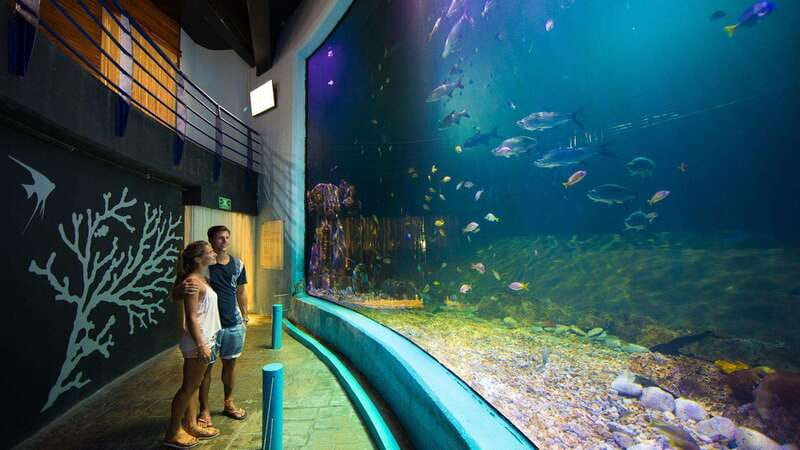 Cancún Interactive Aquarium Admission + Dolphin Presentation - Your Day at Plaza La Isla: Where It Starts