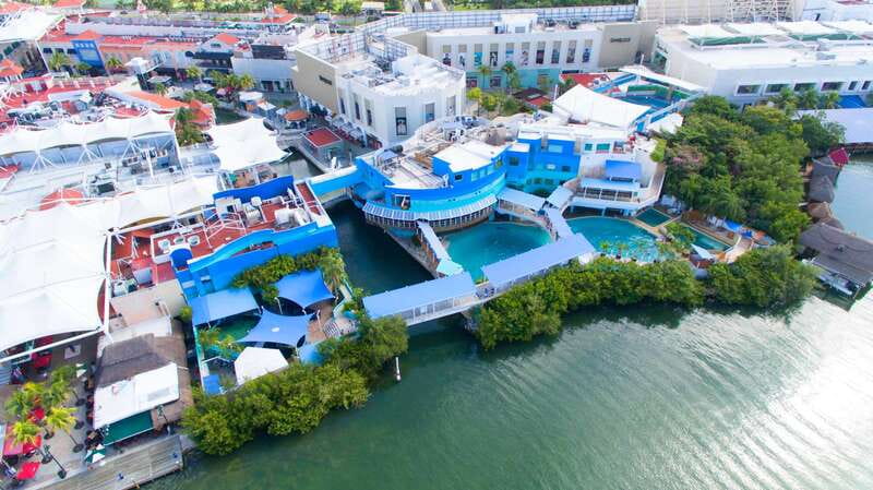 Cancun: Interactive Aquarium - Swim with Dolphins Splash - Key things to know before you go