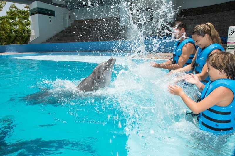 Cancun: Interactive Aquarium - Swim with Dolphins Splash - What to bring (and what to skip) for a smooth water experience