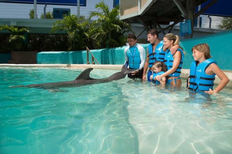 Cancun: Interactive Aquarium - Swim with Dolphins Splash - Price and value in Cancun: what $127 buys you (and what can raise the total)